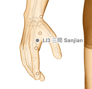 LI3 Sanjian