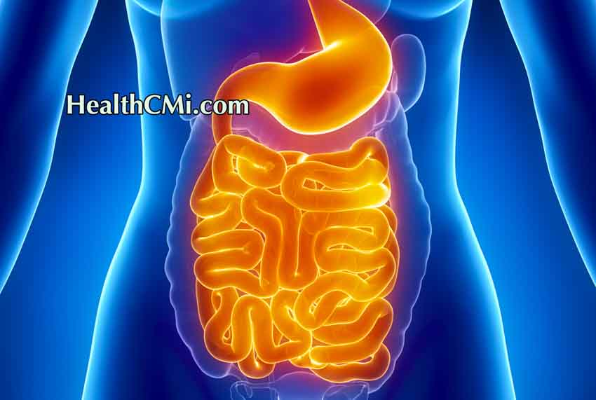 acupucture BL20intestinalob