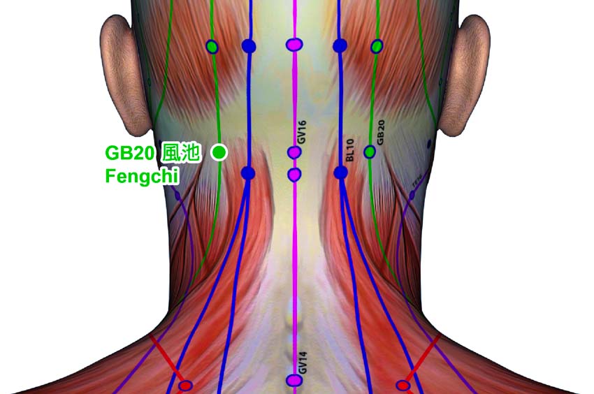 acupuncture fatigue cancer