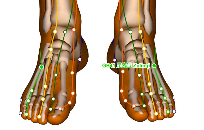 acupuncture gb41 zulinqi