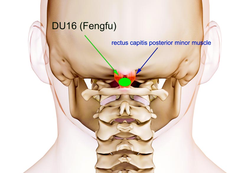 fengfu gv16