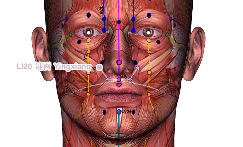 sleep apnea acupuncture