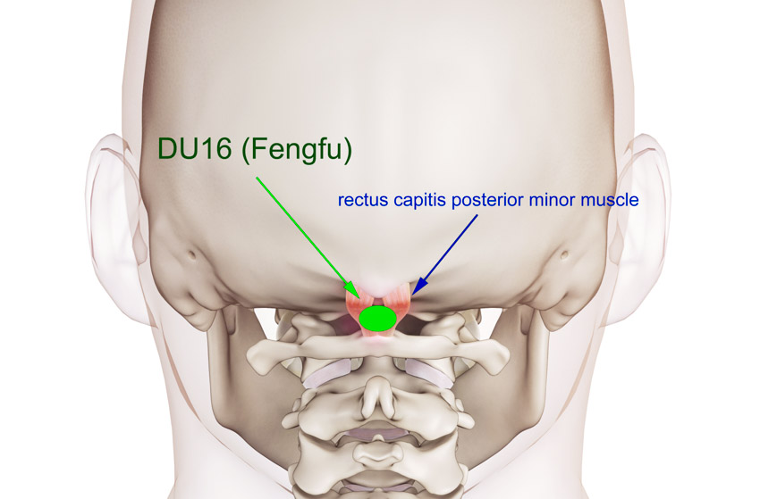 DU16 Fengfu