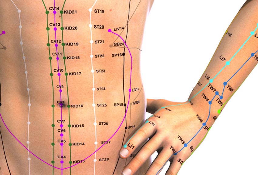 abdominal acupoints