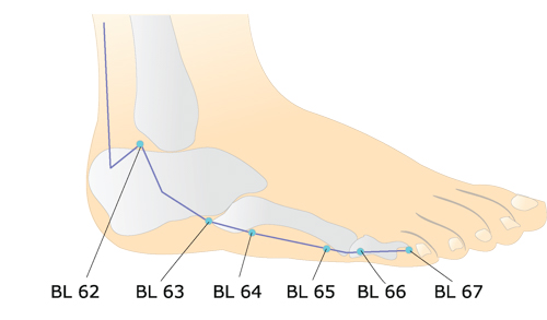 BL62 (Shenmai)