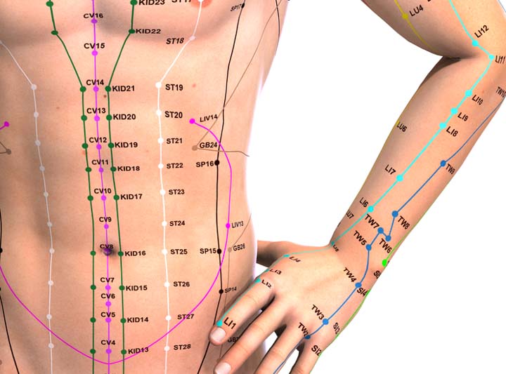 CV and ST Acupoints