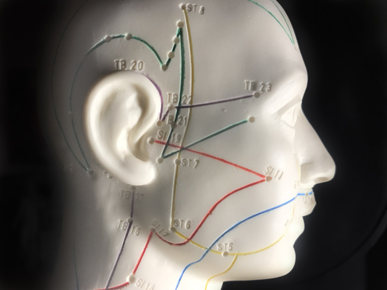 Acupuncture points of the face, including ST7.