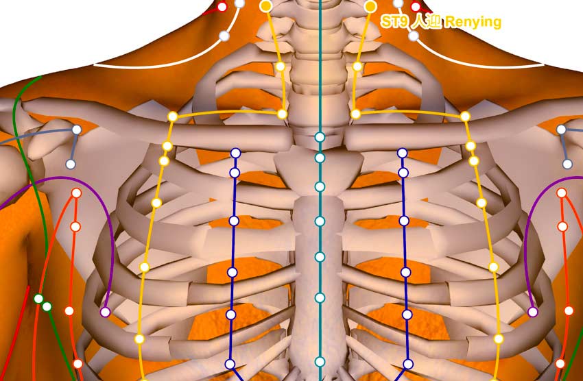 Acupuncture points