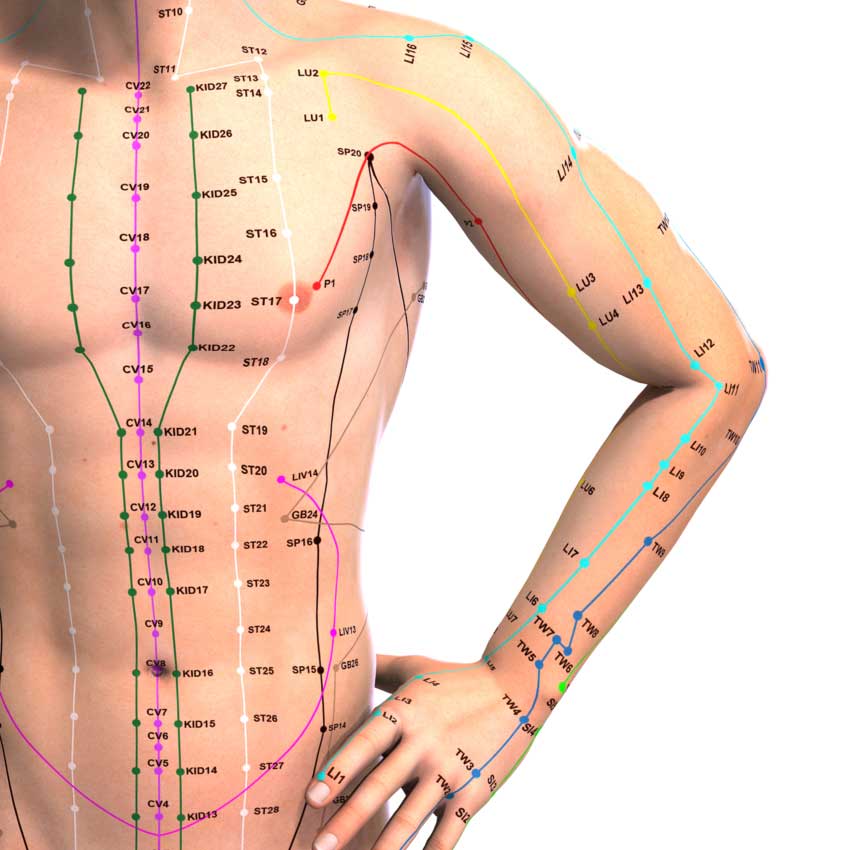 channels meridians points