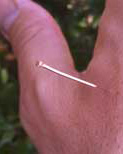 Acupuncture CEU Courses Online. 