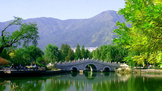 Beijing botanical gardens features a wide variety of plants and herbs. 